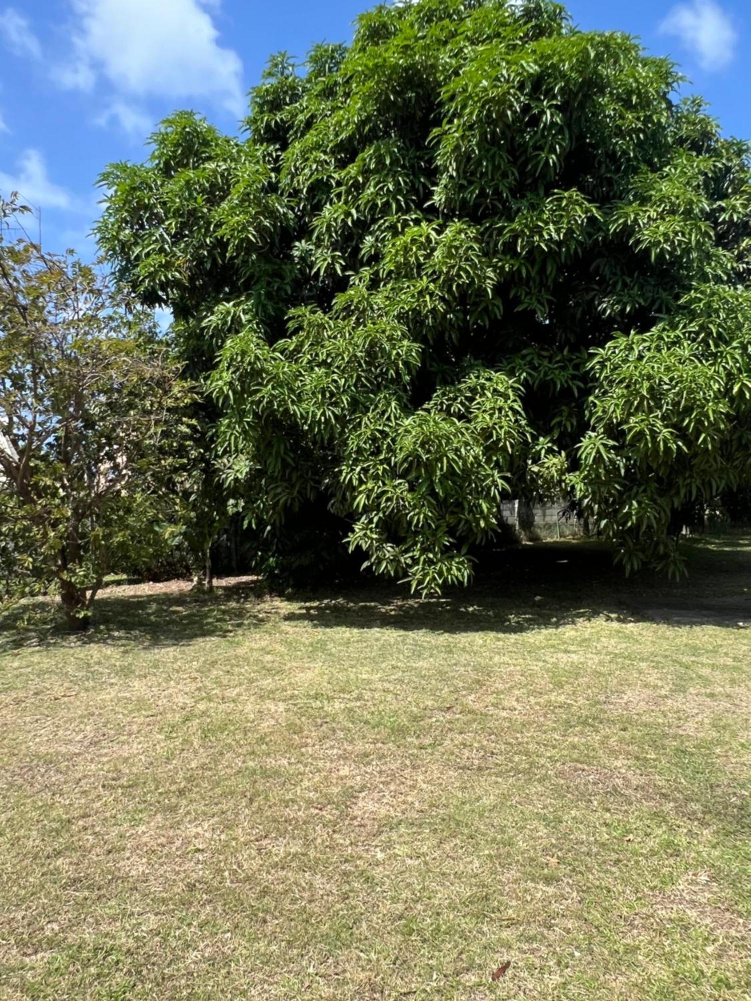 Entire Home - West Coast Barbados Saint Peter Exterior foto